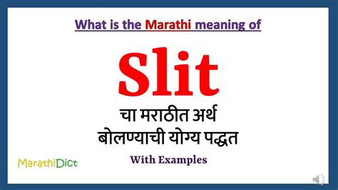 slits meaning in urdu|Children's Illustrated Dictionary by miss.